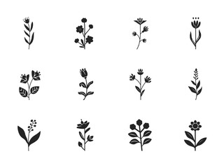 Delicate floral elements arranged in neat rows showcase botanical simplicity and minimalist elegance against a clean backdrop, perfect for adding a touch of nature to any project.
