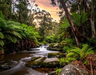 Tranquil forest stream at sunset