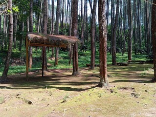 wooden swing in the park