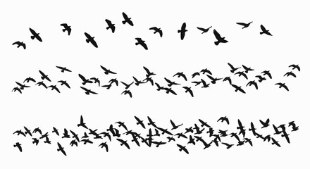 A flock of birds in flight vector illustration. Migrating flying birds in formation, isolated on white