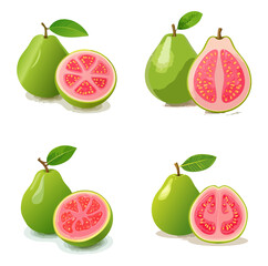 Guava Vector Illustration Set — Fresh Whole and Sliced Tropical Fruits with Green Skin and Pink Flesh
