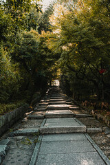 Kyoto, Japan: Stone steps ascending through a dense tunnel of trees and foliage. Garden path, nature walkway, temple grounds.
