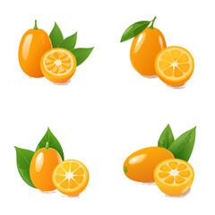 Kumquat Vector Illustration Set — Fresh Whole and Sliced Citrus Fruits with Green Leaves in Hand-Drawn Style