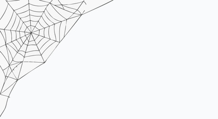 Simple black and white line drawing of a spiderweb in the corner, perfect for Halloween designs, horror themes, or creating suspenseful backgrounds