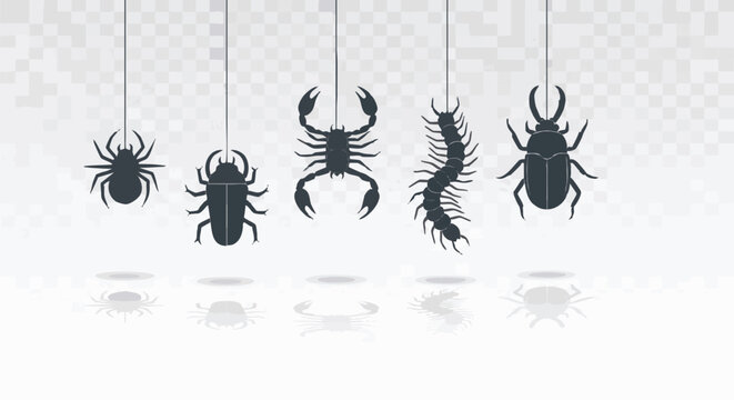Silhouettes of various insects hanging from strings against a transparent background. Includes a spider, beetle, scorpion, centipede, and stag beetle