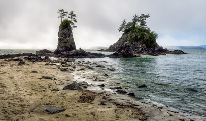 Bamfield Brady's Beach Sea Stacks