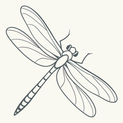 Elegant line art illustration of a dragonfly with delicate wings and segmented body on a neutral background