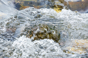 秋の川　清流の流れのアップ05