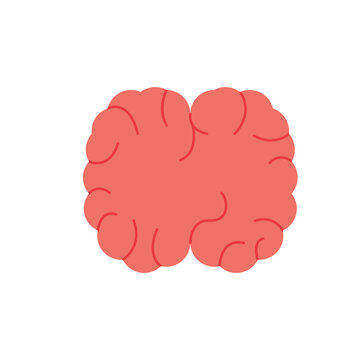 Simple Illustration of a Human Brain, Representing Thought and Intelligence