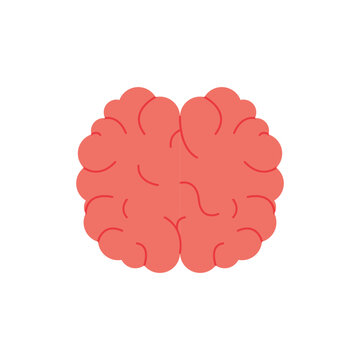 Human brain illustration, representing intelligence, cognition, and mental activity