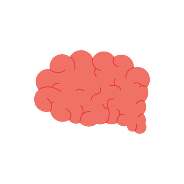 Illustration of a pink brain with detailed convolutions, representing intellect and cognition