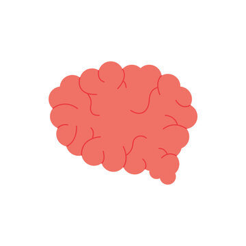 A stylized illustration of a human brain in a simple, modern flat design style