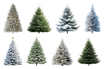 PNG Diverse snowy Christmas trees, element set on transparent background