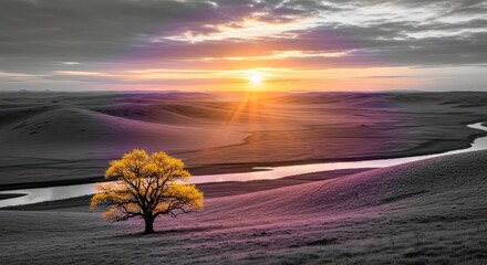 Golden Tree at Sunset - A Vibrant Oasis in a Monochrome Landscape.