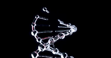 Abstract Luminous Pink DNA Helix Forming and Rotating on Black Background for Medical and Scientific Videos.