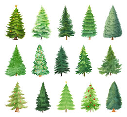 Fototapeta premium PNG Diverse watercolor Christmas trees collection, element set on transparent background