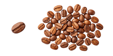 Single Coffee Bean Symbol of Individuality and Courage on Transparent Background
Unique Coffee Bean Standing Apart from Group Illustrating Identity and Distinction