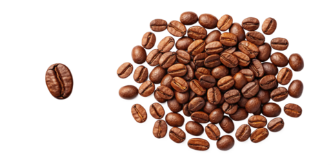 Single Coffee Bean Symbol of Individuality and Courage on Transparent Background
Unique Coffee Bean Standing Apart from Group Illustrating Identity and Distinction