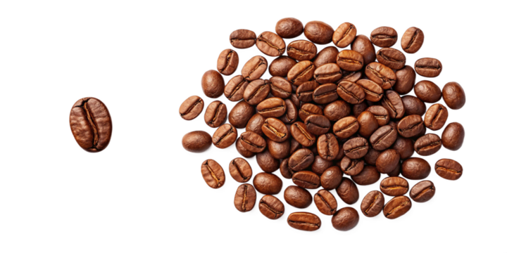 Single Coffee Bean Symbol of Individuality and Courage on Transparent Background
Unique Coffee Bean Standing Apart from Group Illustrating Identity and Distinction