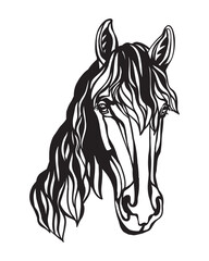 Horse head close up silhouette black and white vector illustration
