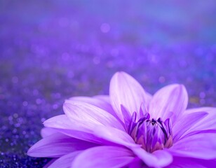 Close-up of a vibrant purple flower (7)