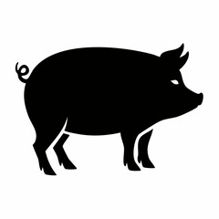 Fototapeta premium pig icon vector design