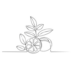 Elegant one-line drawing featuring citrus fruits, complete with leafy branches in a modern, minimalistic graphic style.