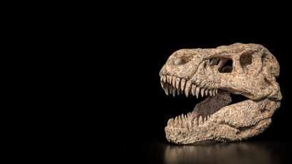 The T rex Skull for Education Or sci concept 3d Rendering.