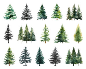 Obraz premium Watercolor evergreen tree illustrations.
