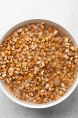 Overhead view of brown honey beans, top view of nigerian Oloyin beans