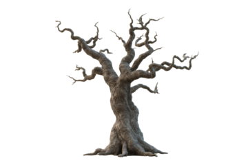 Ancient gnarled dead tree with twisted branches, evoking mystery and timelessness for dramatic visuals