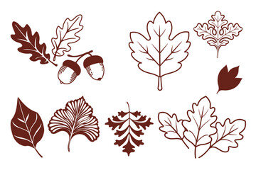 Vintage Botanical Leaf Set Featuring Oak, Maple, and Ginkgo Design