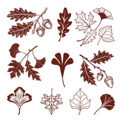 Vintage Botanical Leaf Set Featuring Oak, Maple, and Ginkgo Design