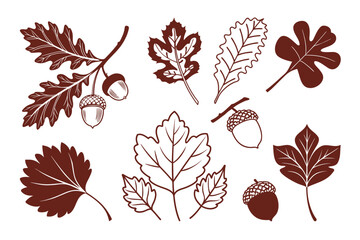 Vintage Botanical Leaf Set Featuring Oak, Maple, and Ginkgo Design