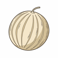 Hand drawn bael fruit with round tan shell and natural texture