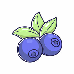 Cute hand drawn blueberry pair with green leaves