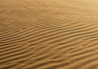 Fototapeta premium Desert Dunes: Abstract patterns and textures of a desert landscape. The golden sand sculpted by wind creates a mesmerizing display of natural artistry, evoking a sense of vastness and tranquility.
