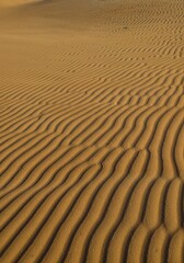 Obraz premium Textured Sands: Detailed view of sand dunes sculpted by the wind, revealing the mesmerizing patterns in a sun-kissed desert landscape.
