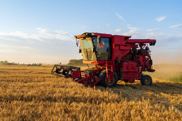 Obraz premium The combine is harvesting the wheat in the evening