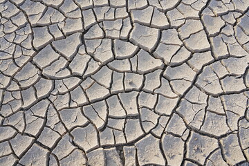 The dry and cracked soil cracked open