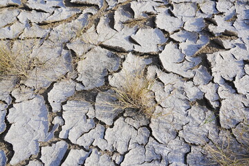 The dry and cracked soil cracked open