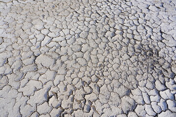 The dry and cracked soil cracked open