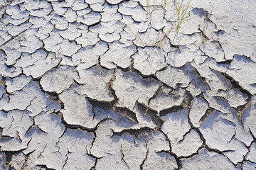 The dry and cracked soil cracked open