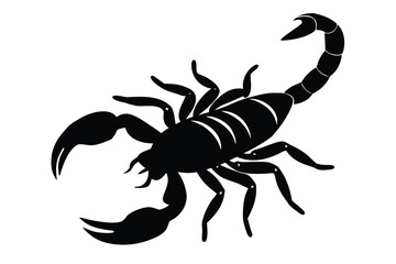 crawling scorpion silhouette vector illustration on black colour and white background