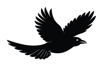Obraz premium flying crow silhouette vector illustration on black colour and white background