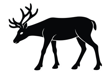 grazing reindeer silhouette vector illustration on black colour and white background