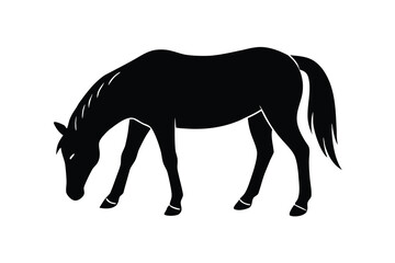 grazing horse silhouette vector illustration on black colour and white background