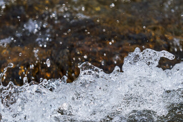 秋の川　清流の流れのアップ30