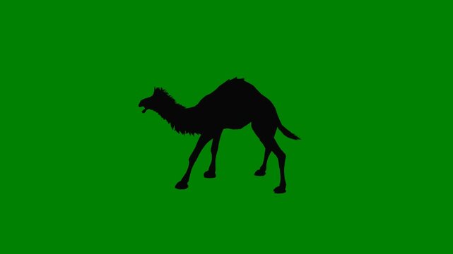 A green screen with silhouette of man on the ground and dog black horse running donkey camel animated chromakey background style layers expression frame illustration backgrounds motion