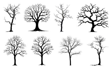 PNG Silhouettes of diverse tree shapes, element set on transparent background